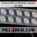 À Quoi Sert Le Miracle Léopard Du Miel 08
